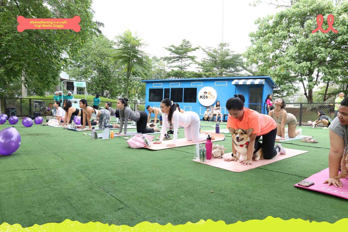 Outdoor yoga session with participants and their dogs on a lawn at the Yogi Meets Doggy community event.
